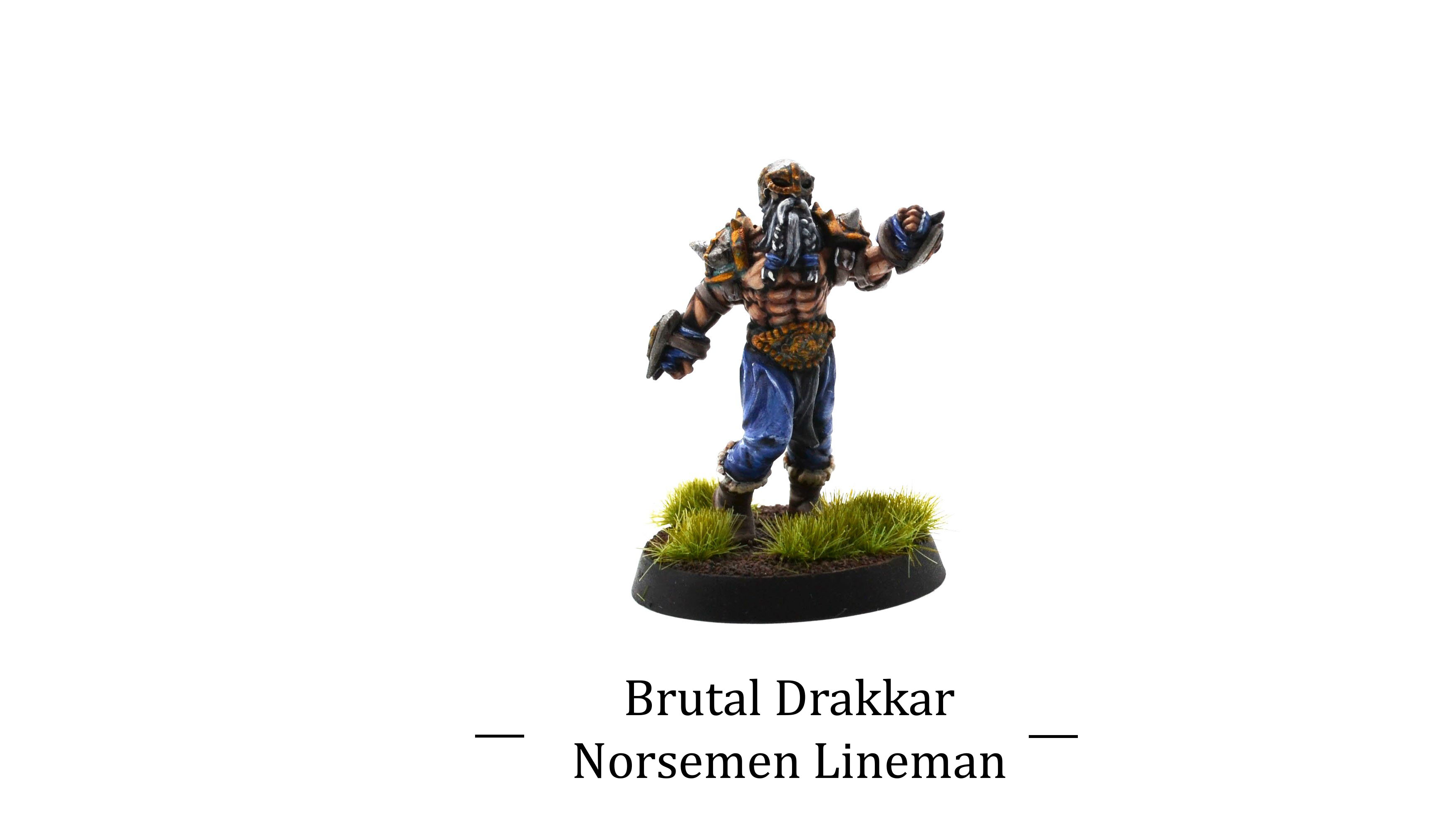 Realm of Paths Brutal Drakkar : Norsemen Linemen miniatures 3d print painted by commission painter.